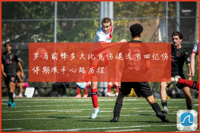 罗马前锋多夫比克伤退流泪回忆伤停期艰辛心路历程